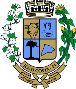 Logo João Costa - PI